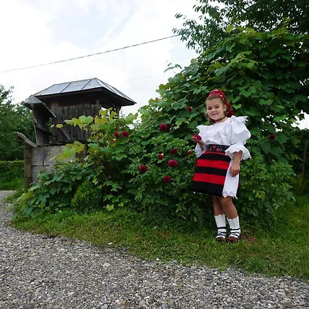Casa Maramureseana Larisa Lantställe *