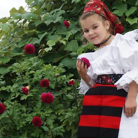 Lantställe Casa Maramureseana Larisa Breb