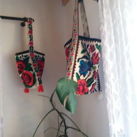 Casa Maramureseana Larisa *