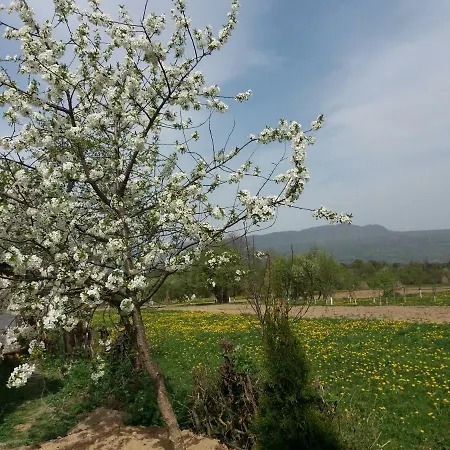 Casa Maramureseana Larisa Lantställe