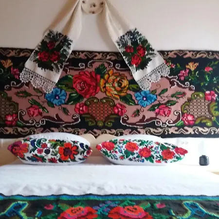 Casa Maramureseana Larisa Landhuis *